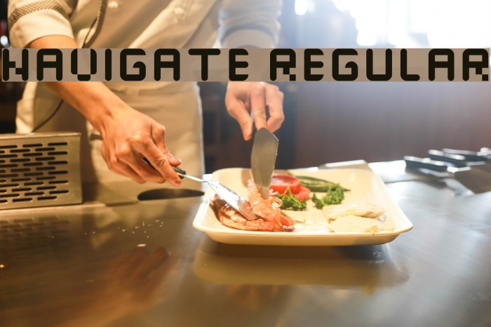 navigate Regular Font examples
