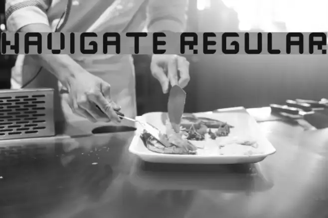 navigate Regular Example 2