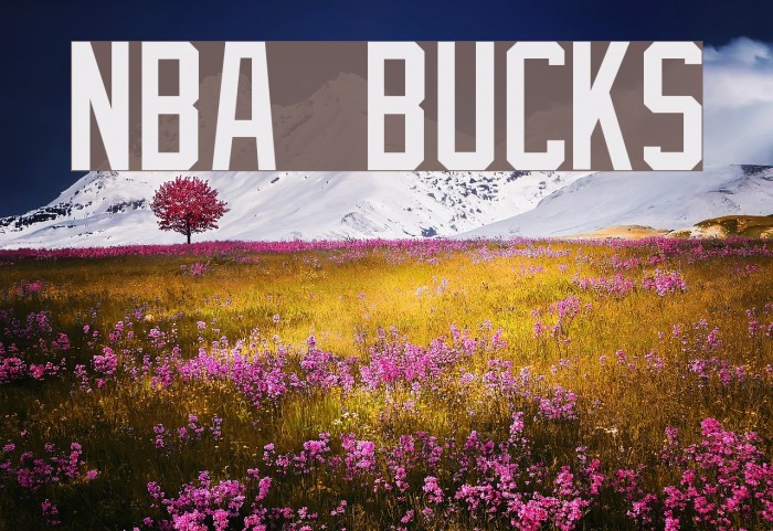 NBA Bucks Font examples