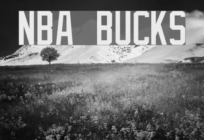 NBA Bucks Example 2