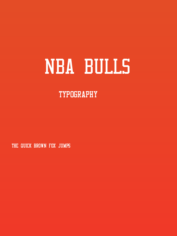 NBA Bulls Poster