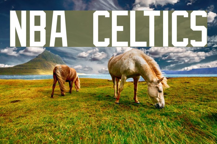 NBA Celtics Font  FFonts.net