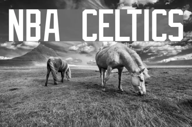 NBA Celtics Example 1