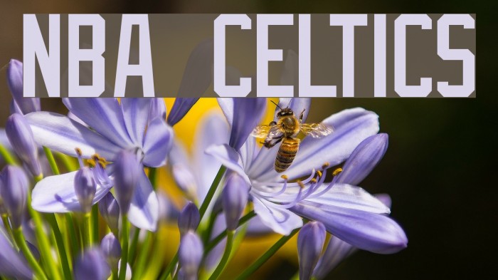 NBA Celtics Font examples