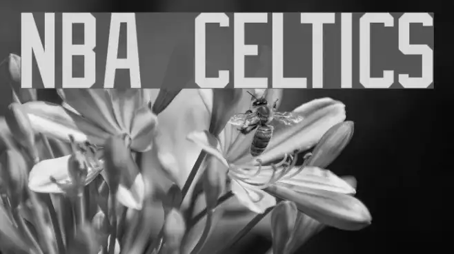 NBA Celtics Example 3
