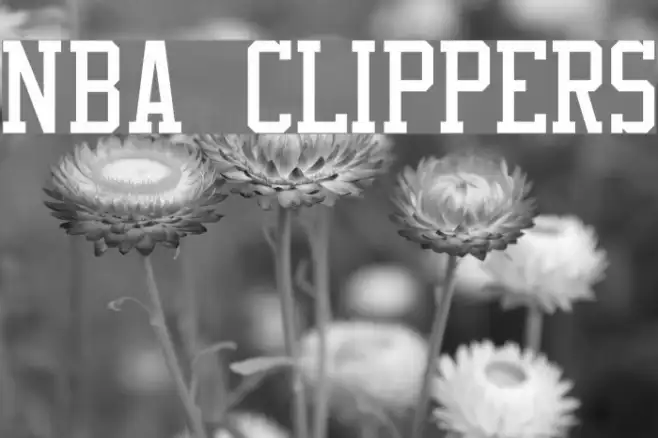NBA Clippers Example 1