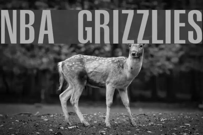 NBA Grizzlies Font examples
