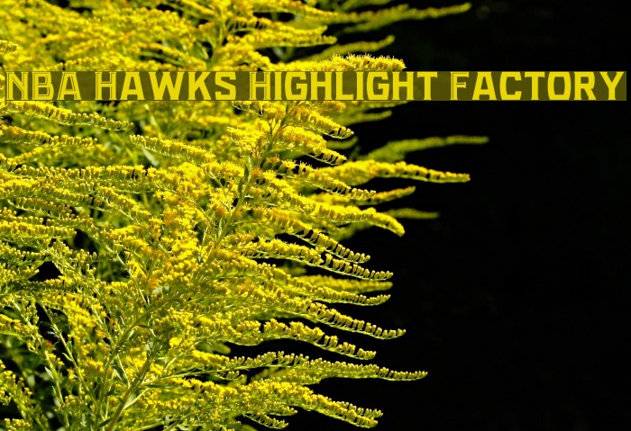 NBA Hawks Highlight Factory Font examples