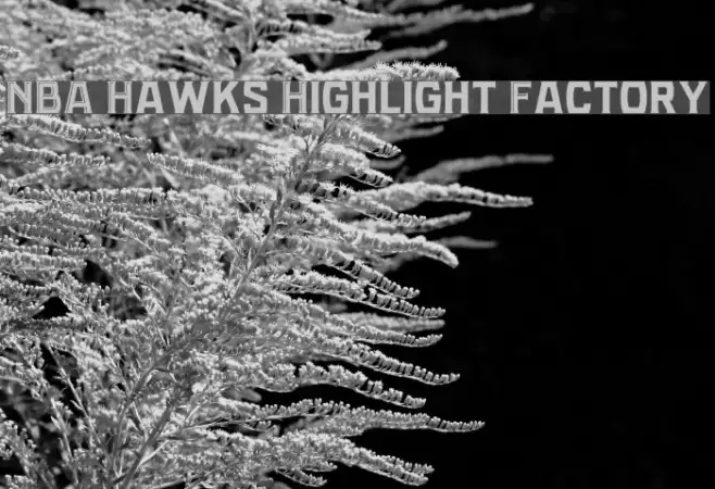 NBA Hawks Highlight Factory Example 3
