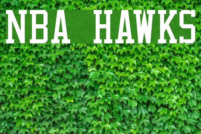 NBA Hawks Font examples