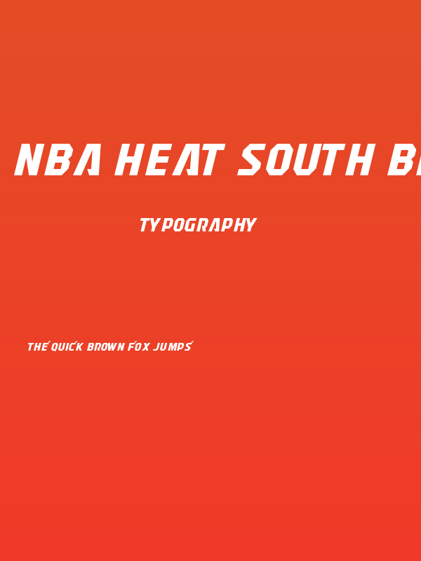 NBA Heat South Beach Poster