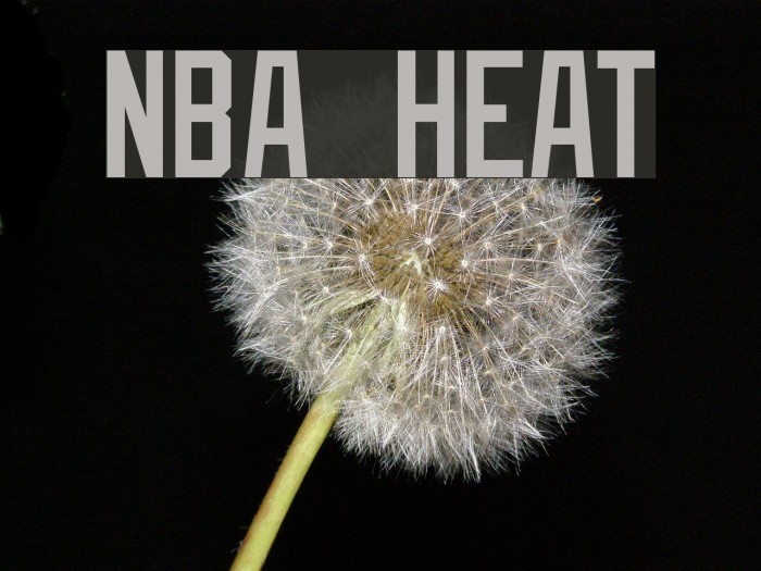 NBA Heat Font examples