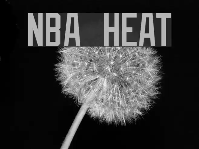 NBA Heat Example 3