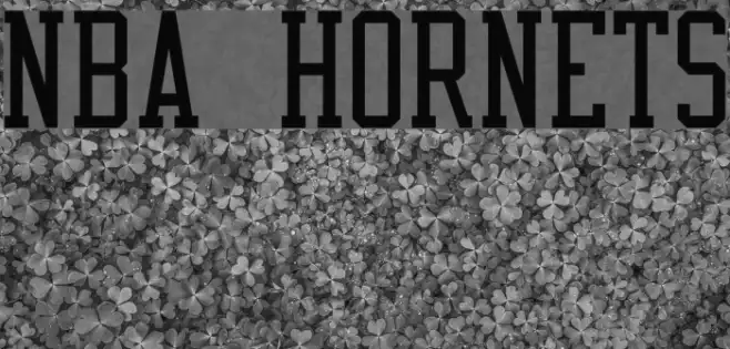NBA Hornets Example 2