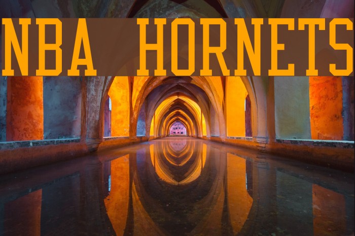 NBA Hornets Font examples