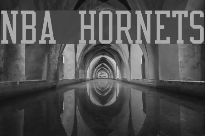 NBA Hornets Example 3