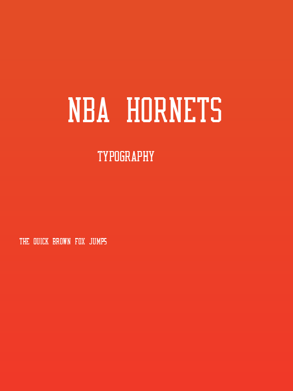 NBA Hornets Poster