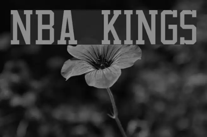 NBA Kings Example 1