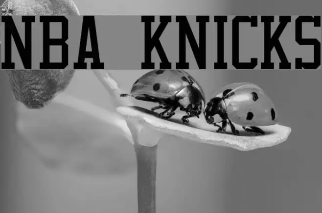 NBA Knicks Example 2