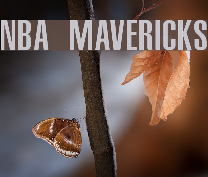 NBA Mavericks Font examples