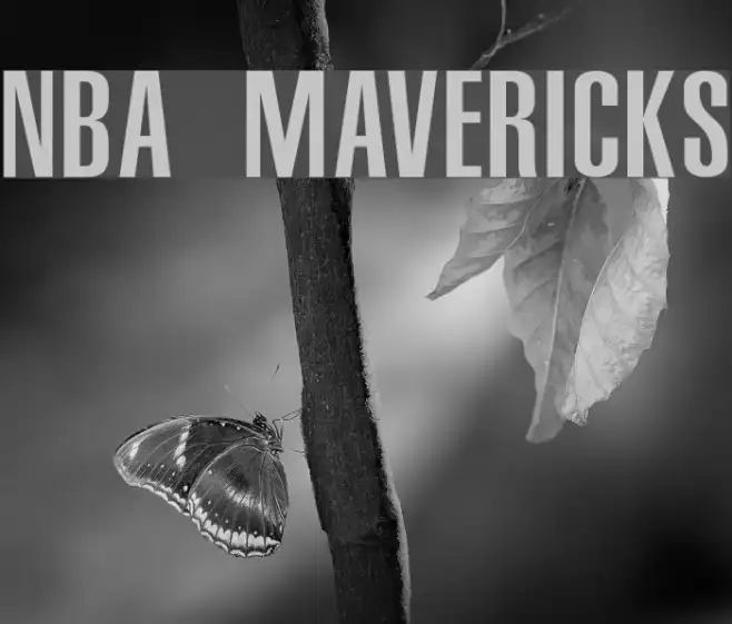 NBA Mavericks Example 1