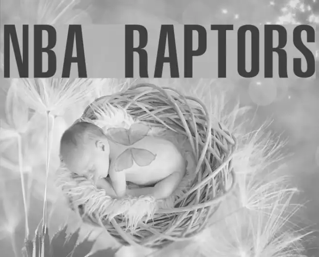 NBA Raptors Example 2