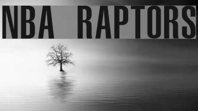 NBA Raptors Example 3