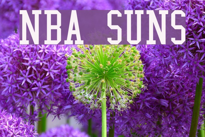 NBA Suns Caratteri examples