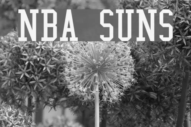 NBA Suns Caratteri examples
