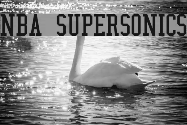 NBA SuperSonics Example 1