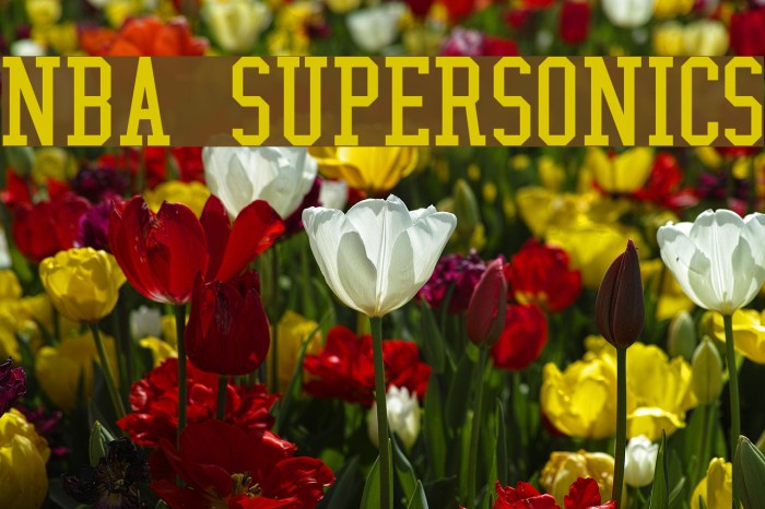 NBA SuperSonics Font examples