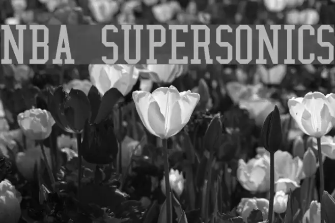 NBA SuperSonics Example 2