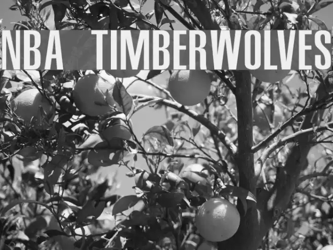 NBA Timberwolves Font examples
