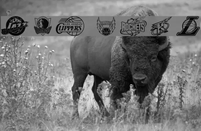 NBA WEST Example 1