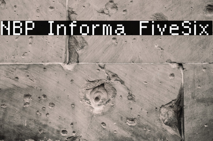 NBP Informa FiveSix Font examples