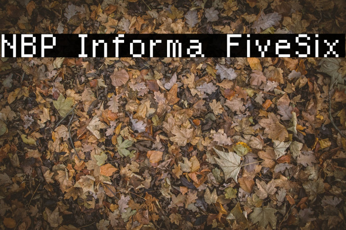 NBP Informa FiveSix Font examples