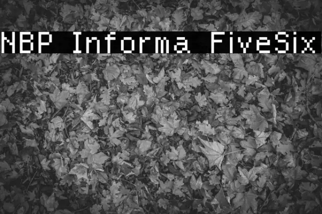 NBP Informa FiveSix Example 2