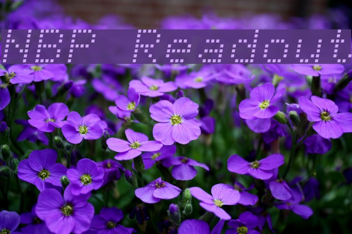 NBP Readout Font examples
