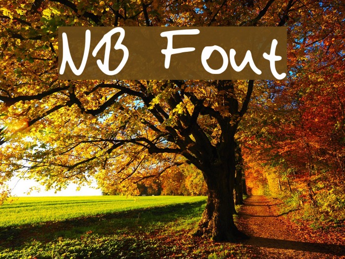 NB Font - FFonts.net