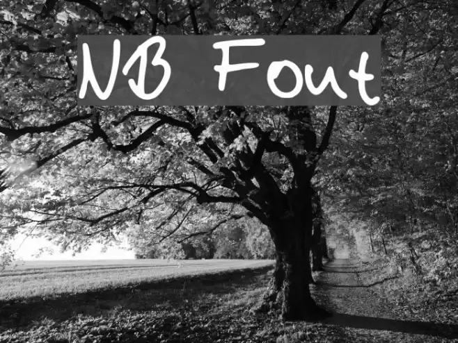 NB Font examples