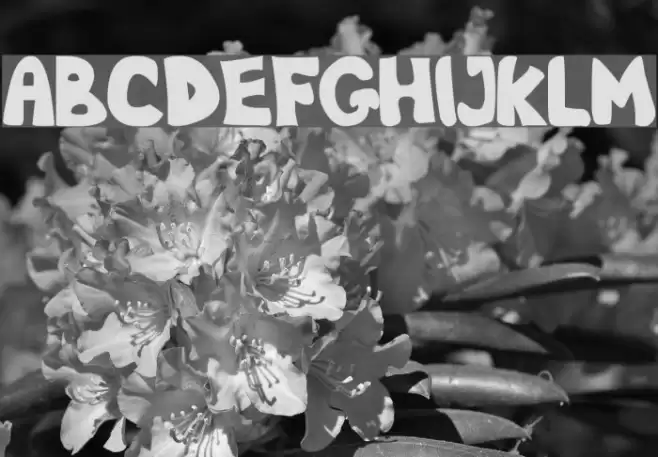 Nb Obese Schriftart examples