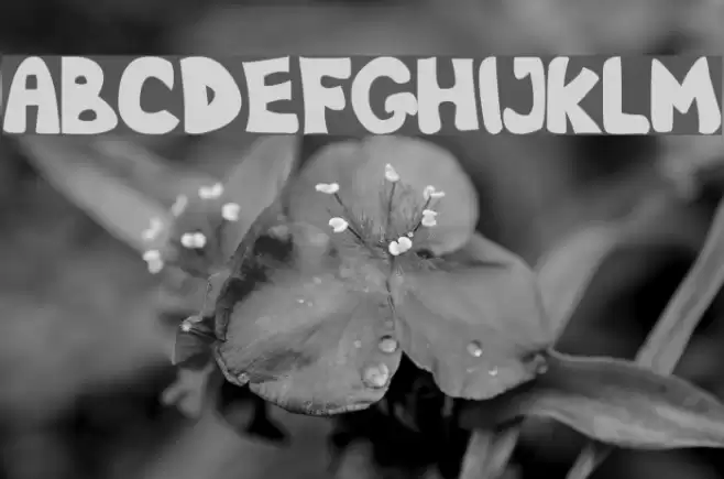 Nb Obese Schriftart examples