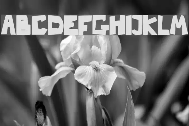 Nb Strange フォント examples