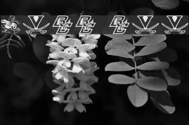 NCAA ACC Font examples