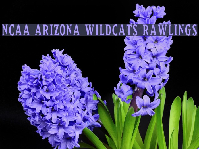NCAA Arizona Wildcats Rawlings Font examples