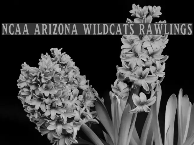 NCAA Arizona Wildcats Rawlings Example 3