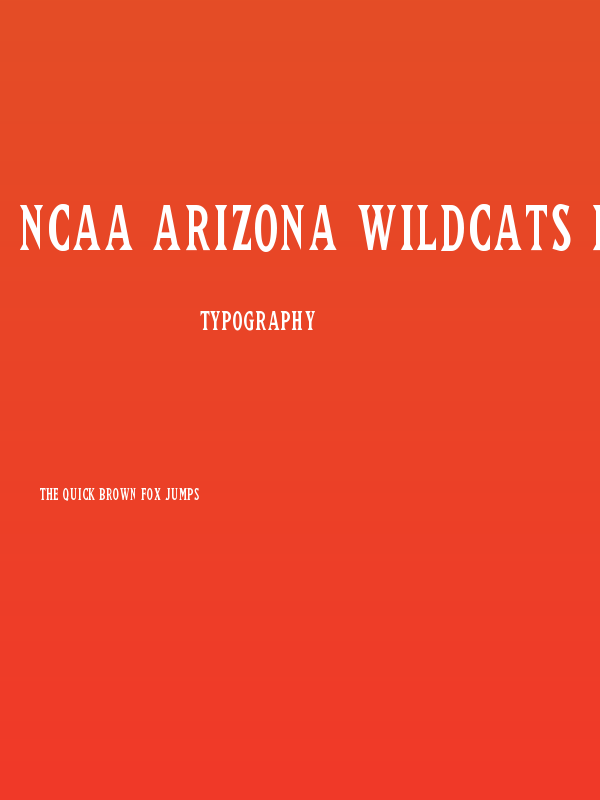NCAA Arizona Wildcats Rawlings Poster
