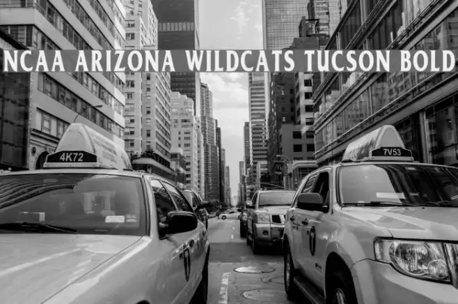 NCAA Arizona Wildcats Tucson Bold Font examples