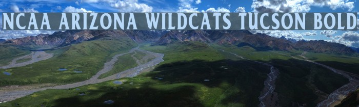 NCAA Arizona Wildcats Tucson Bold Font examples