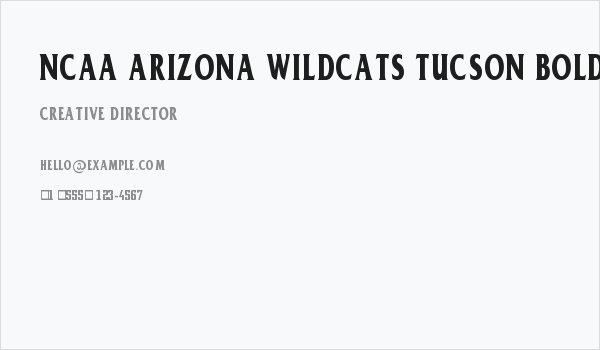 NCAA Arizona Wildcats Tucson Bold Business Card